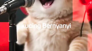 Kucing bernyanyi