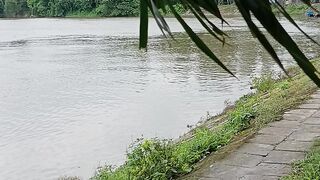 My Village River