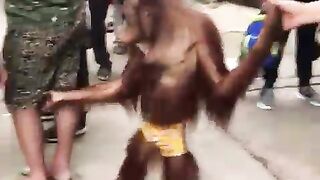 Mischievous orangutan