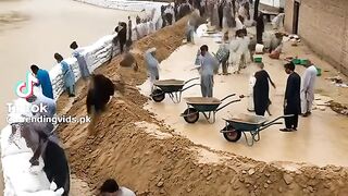 سب سے زیادہ دیکھے جانے والی ویڈیو