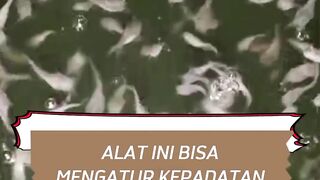 Alat ini mampu mengatur kepadatan larva lele dikolam