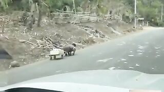 Kindness 5