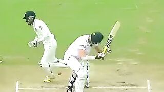 Cricket news 99