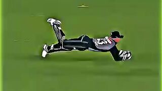 Cricket news 103