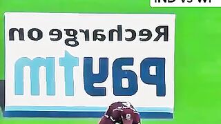 Cricket news 113