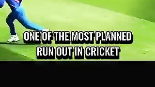 Cricket news 116