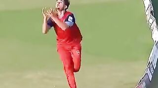 Cricket news 120