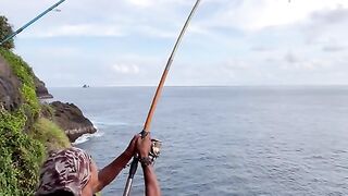 Inpo iwak galak rockfishing fyp rockfishingindonesia fyp trenggalek mancingmania