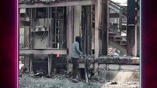 Rayap besi looting besi 2
