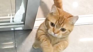 He is always Hungry