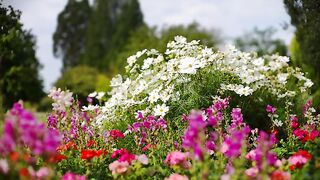 Flowers bad in kenon,Birmingham