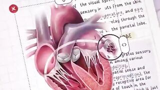 goodnotes لأجهزة الأيباد والأيفون أجمل برنامج للملاحظات و