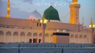 Beshak SubhanAllah I love Muhammad