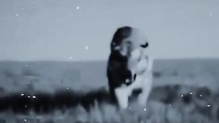 حمو الشرقاوي ميديا خرج عن السيطره