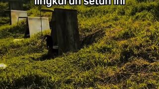 DAFTAR BOSPLAY AGEN SABUNG AYAM ONLINE TERBESAR RESMI AMAN DAN TERPERCAYA 22