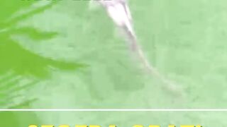 Apapun penyakit yang menyerang ikan leleObati dengan ini