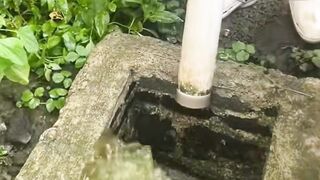Apakah buang AMONIAK (buang air kolam) Setiap hari