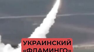 ПЪРВИ УДАРИ НА ФЛАМИНГО