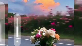 Tere Sang Yaara   Slowed  Reverb  Lyrics Status   Hp Lofi Creator lofimusic lofi sadsong