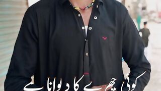 Dil wale 2