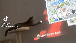 Cat ahh