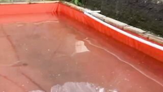 PEMULAHarap perhatikan poin penting ini