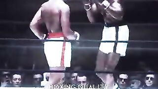 Boxing world 6