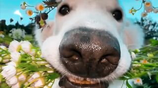 My fast video support me