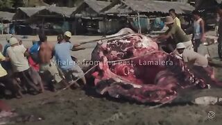 Lembata