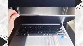 bola88 81