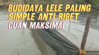 Cara budidaya ini paling simple dan praktis, CUAN banyak
