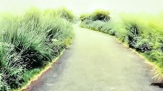 Best editing video on road grass