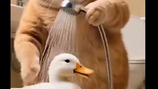 Cats Heartwarming Shower Rescue  Unveiling Hidden Kindness in 2025!