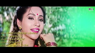 Meri Chunnari Lehrayi - Lyrical  Cheetah  Ashwini Bhave  Alka Yagnik  90s Hits Hindi Song