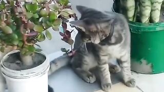 Друзья в игре