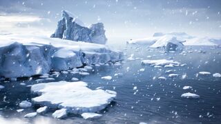 Survivre à lArctique