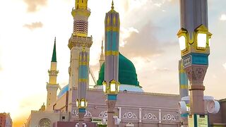 Plz follow me 17