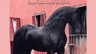 اتقوا اله