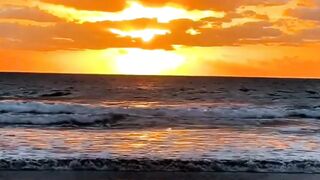 Beautiful nature 266