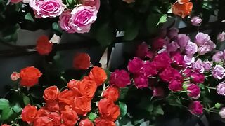 Flower 58