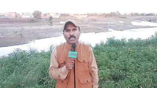 Gujrat 4
