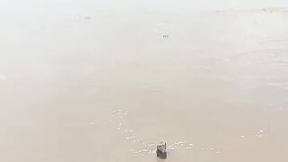 River satluj
