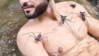 Anaconda 10M
