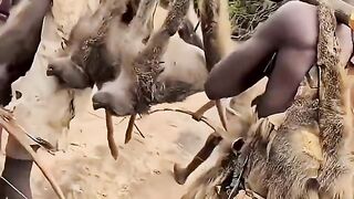 life of the hadza tribe in Africa