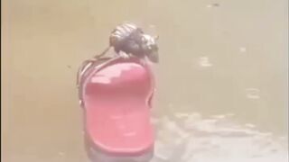 Jine ke liye ye zindagi kitni jaruri h is bejuban se pucho