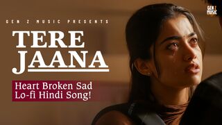 Tere Jaana Heart Broken Sad Lo-fi Hindi Song  Gen Z Music (Lyrical)