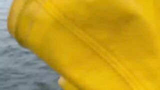 Monster Fish 1