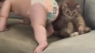 Kids love cats