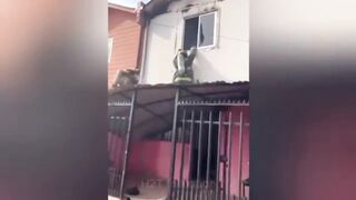 Funny video 3 7