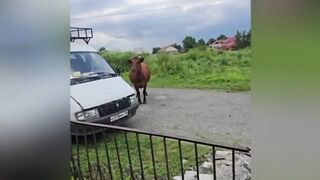 Funny video 9 2